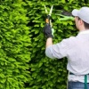 Dịch vụ về chăm sóc cảnh quan, chăm sóc cây xanh